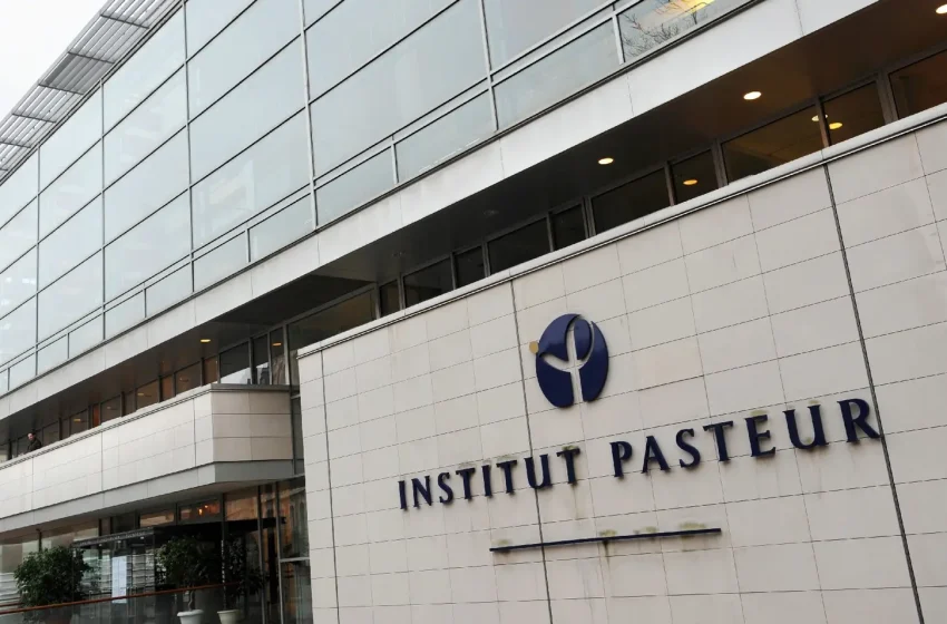  Institut Pasteur : « la protection vaccinale contre l’infection diminue pour le variant Delta. »