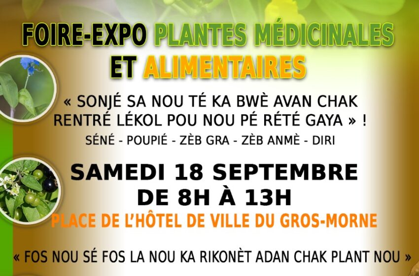  FOIRE EXPO Samedi 18 septembre : PLANTES MÉDICINALES ET ALIMENTAIRES