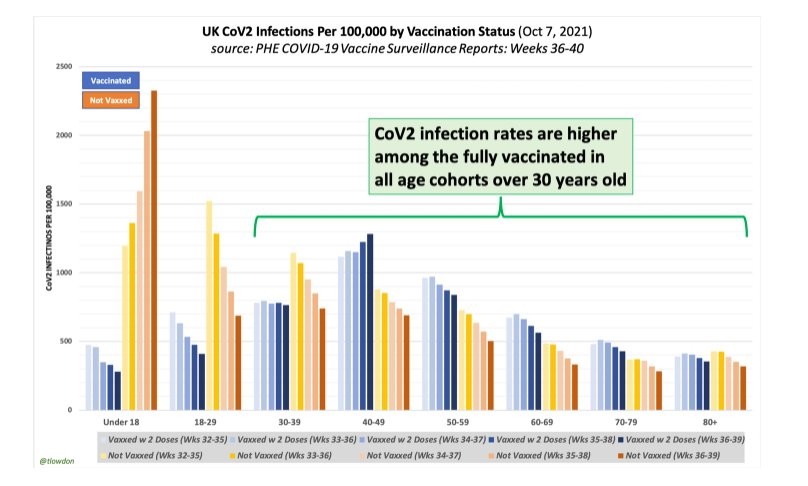  La vaccination obligatoire des soignants est inutile et contre-productive d’un point de vue de santé publique